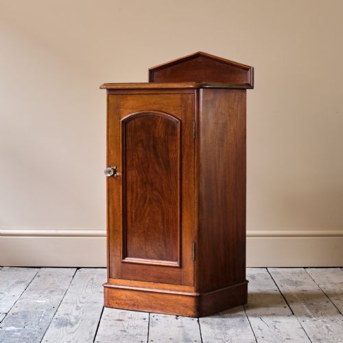 19TH CENTURY MAHOGANY POT CUPBOARD - ADDITIONAL PHOTO 10