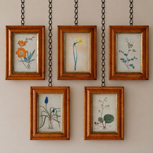 SET OF 5 BOTANICAL IMAGES FROM 18TH CENTURY