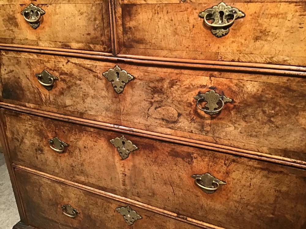 Antique walnut chest of drawers  View VII