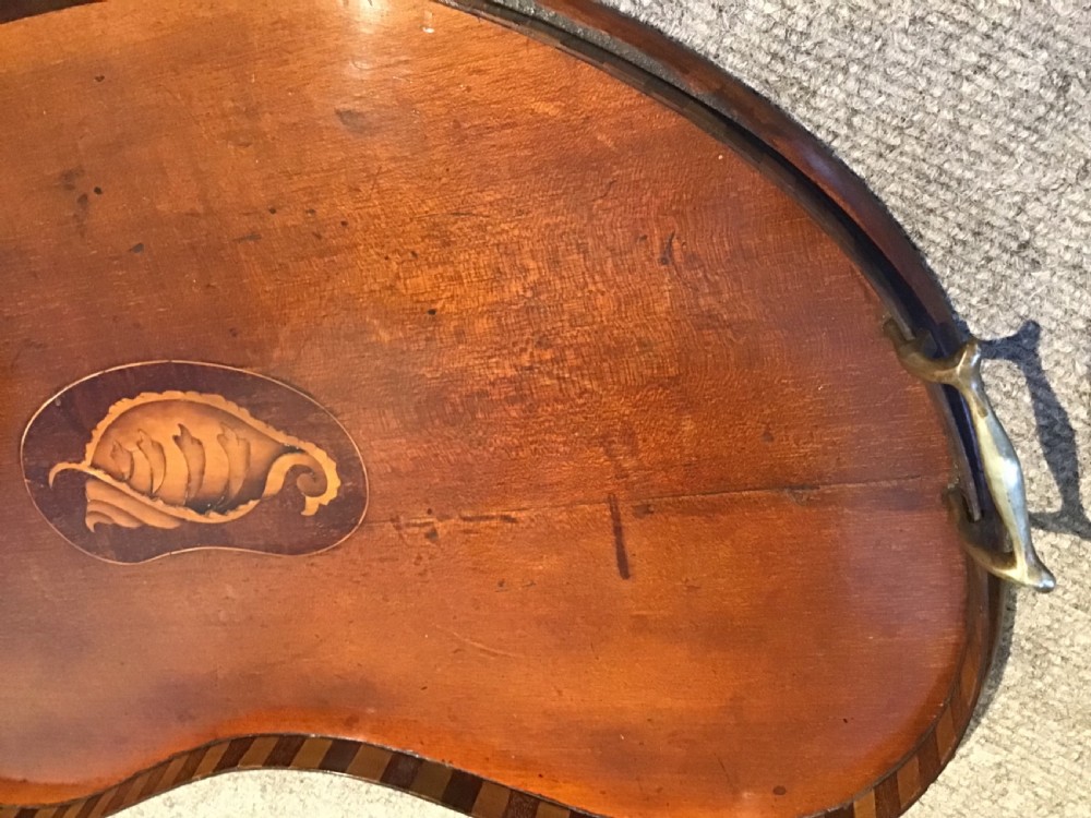 Edwardian inlaid mahogany kidney shape tray View III