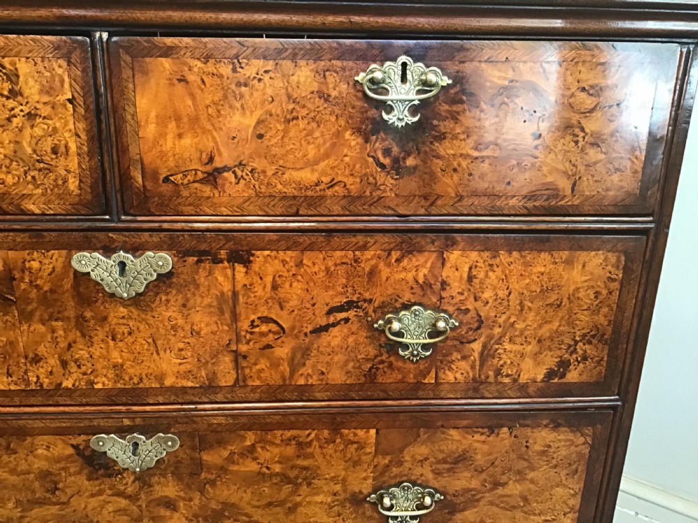 Antique mulberry chest of drawers View IV