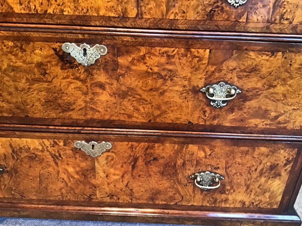 Antique mulberry chest of drawers View V