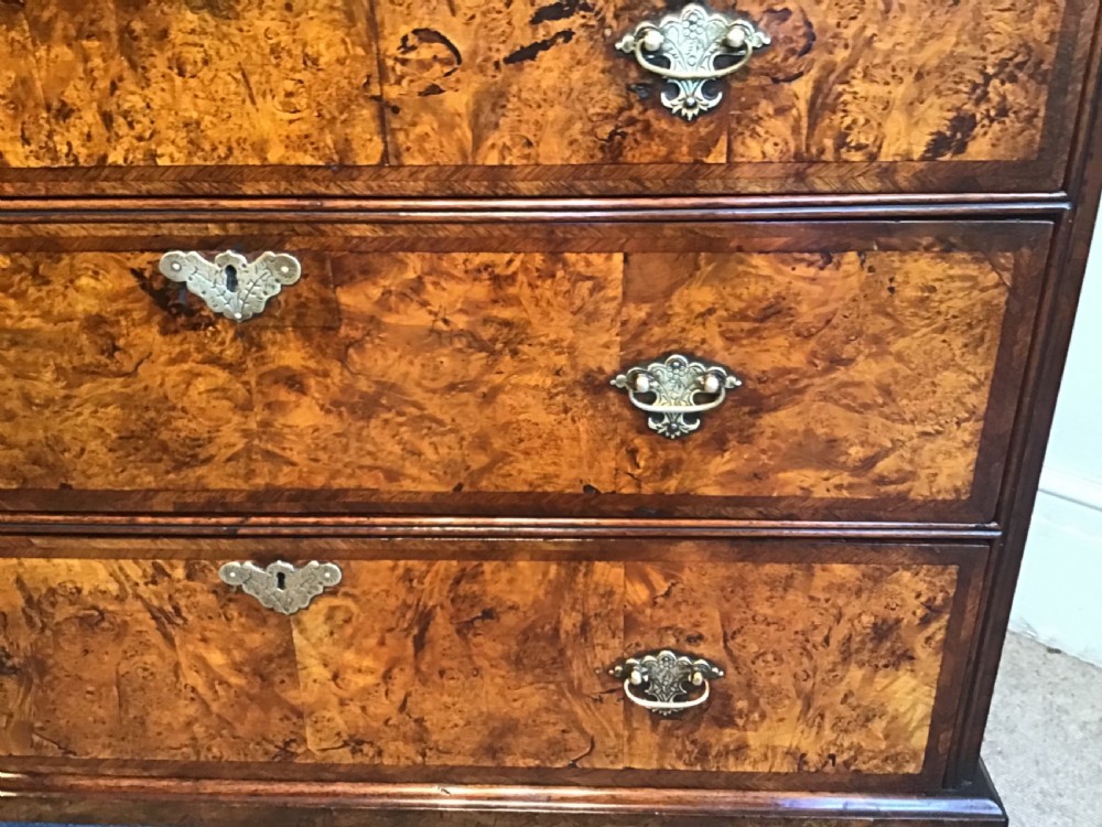 Antique mulberry chest of drawers View VI