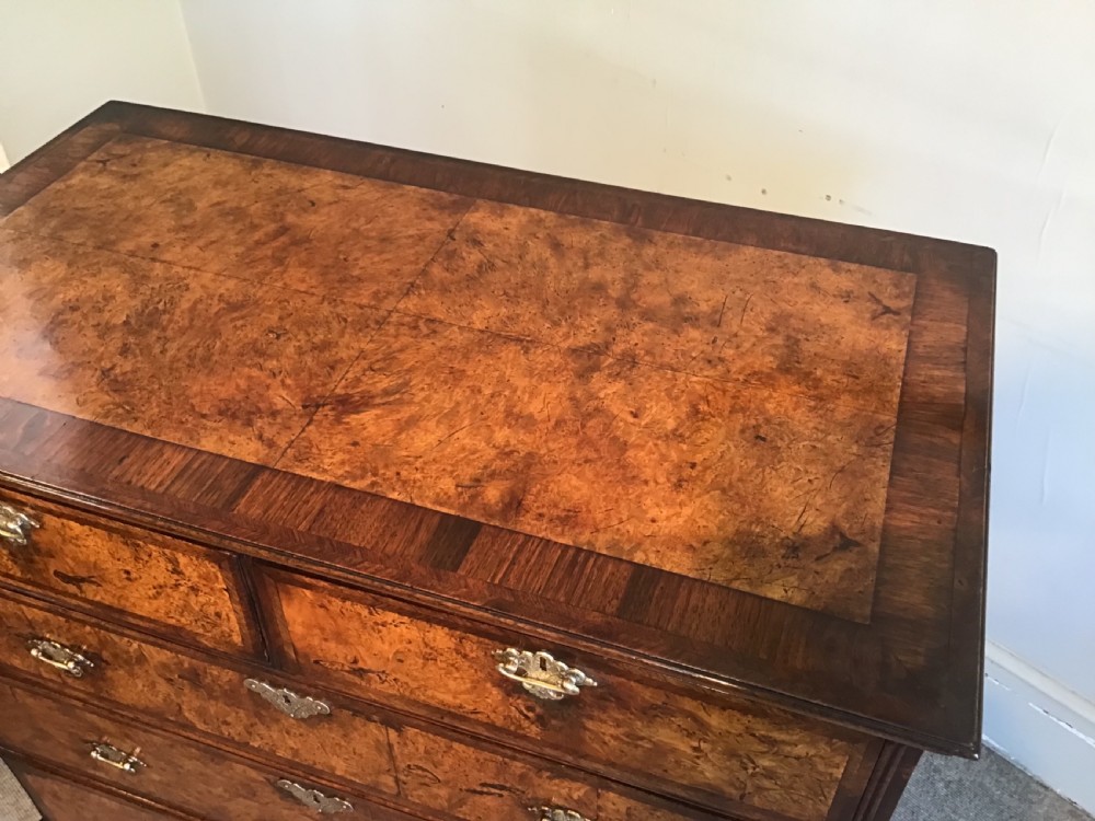 Antique mulberry chest of drawers View VIII