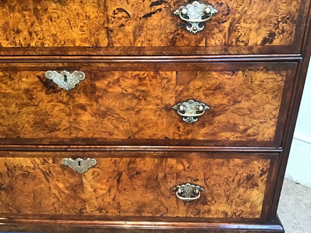 Antique mulberry chest of drawers View II