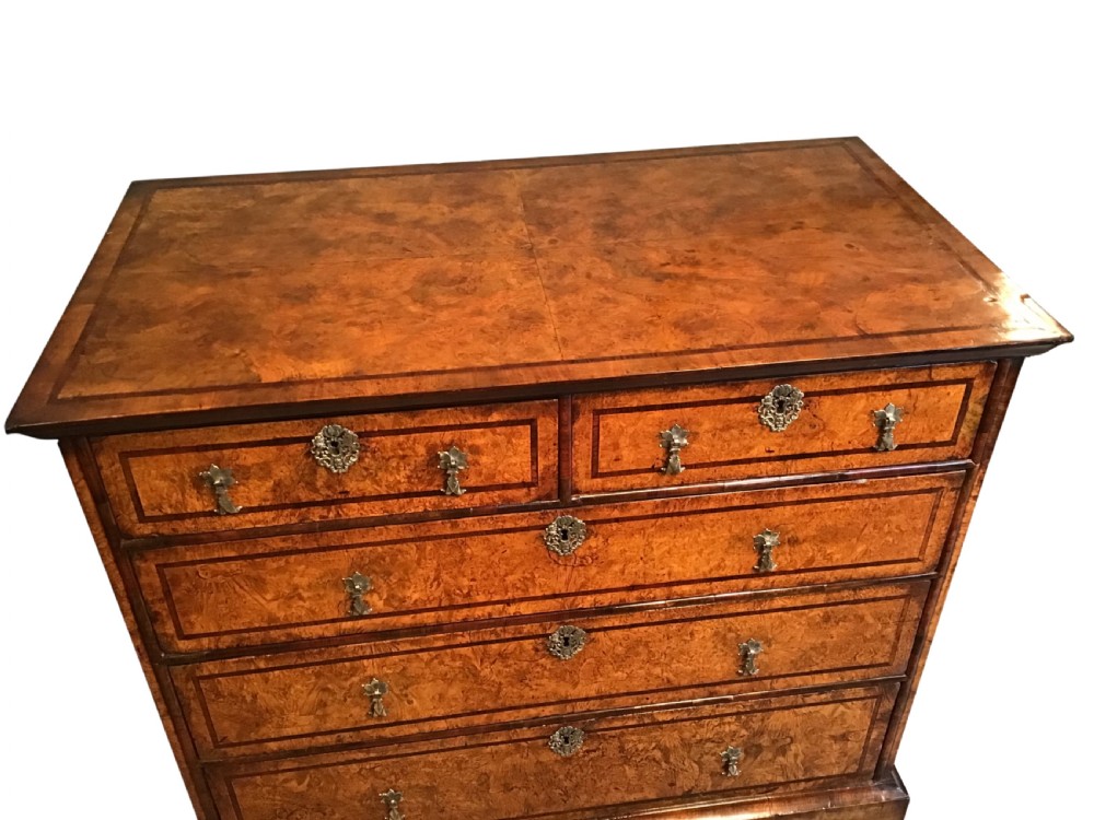 Antique mulberry and rosewood chest of drawers View II