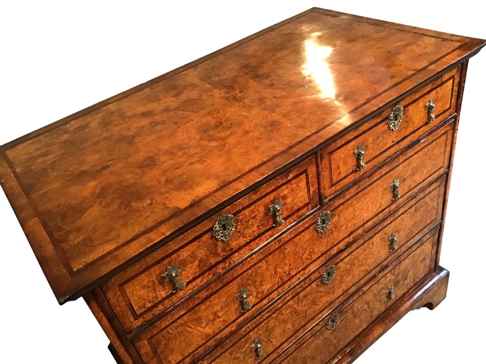 Antique mulberry and rosewood chest of drawers View III