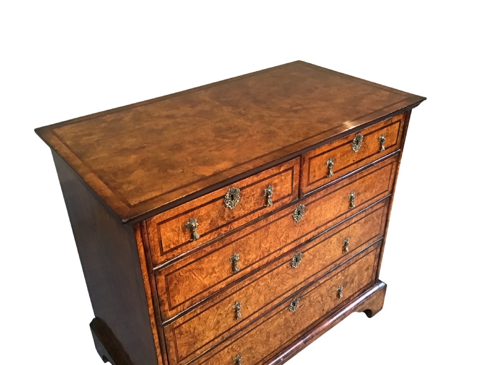 Antique mulberry and rosewood chest of drawers View IV