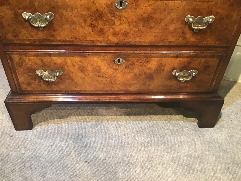 Antique walnut batchelors chest of drawers View V