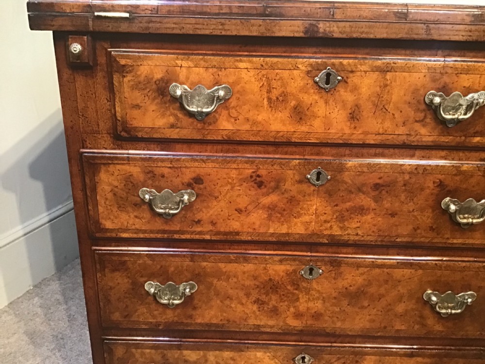 Antique walnut batchelors chest of drawers View VI