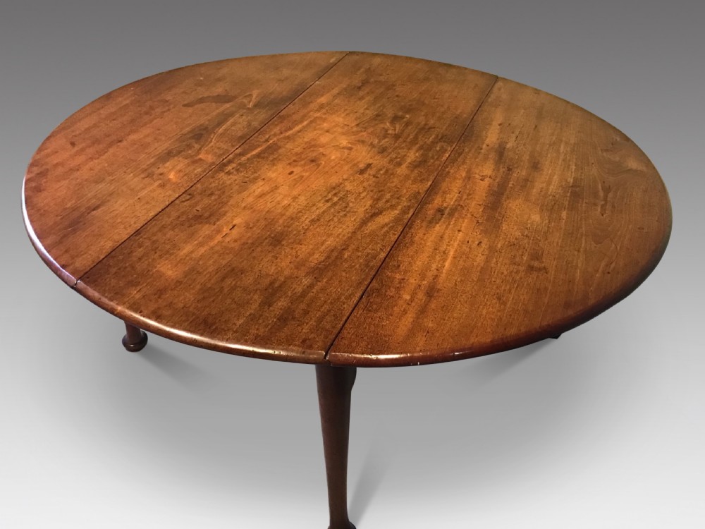 Georgian mahogany drop leaf table View III