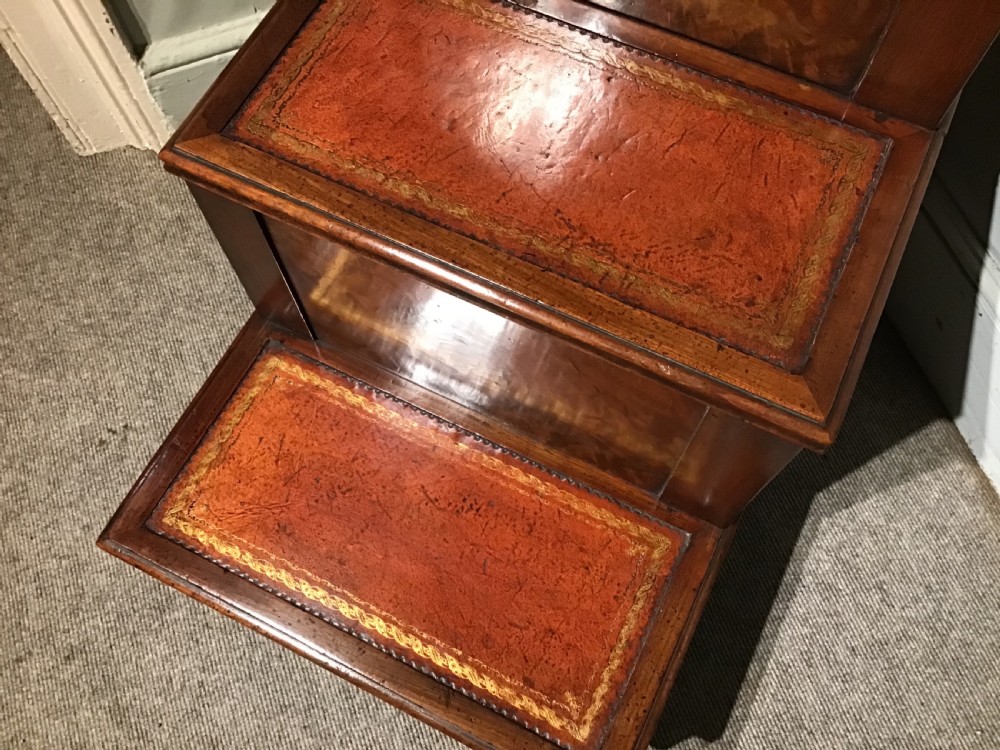 Antique mahogany steps View IV