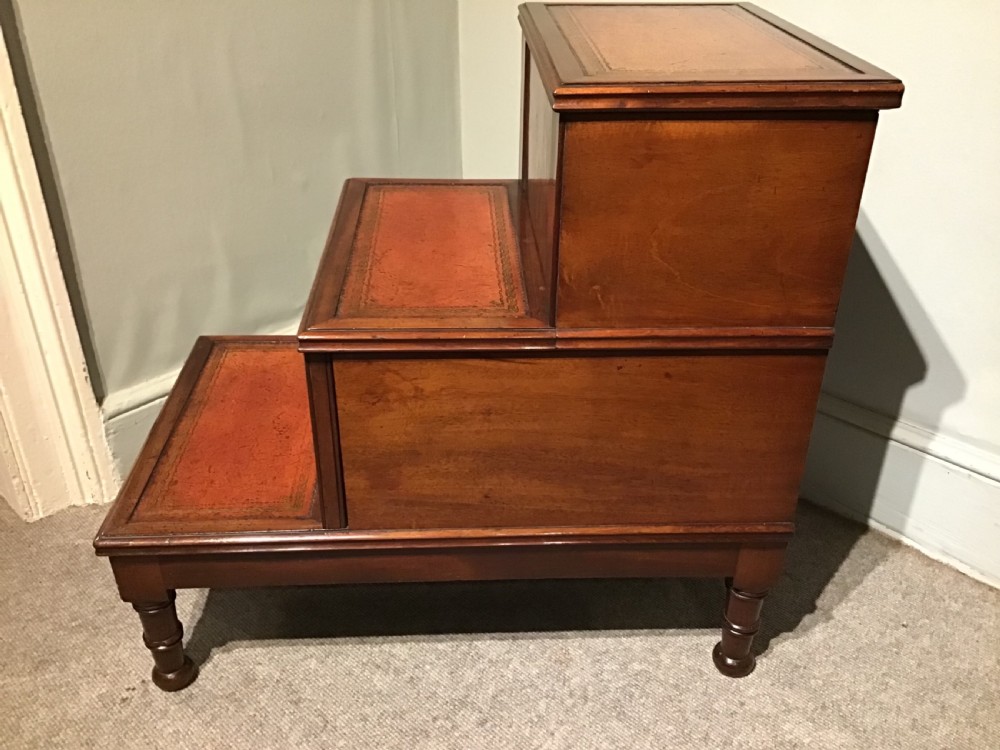 Antique mahogany steps View IX
