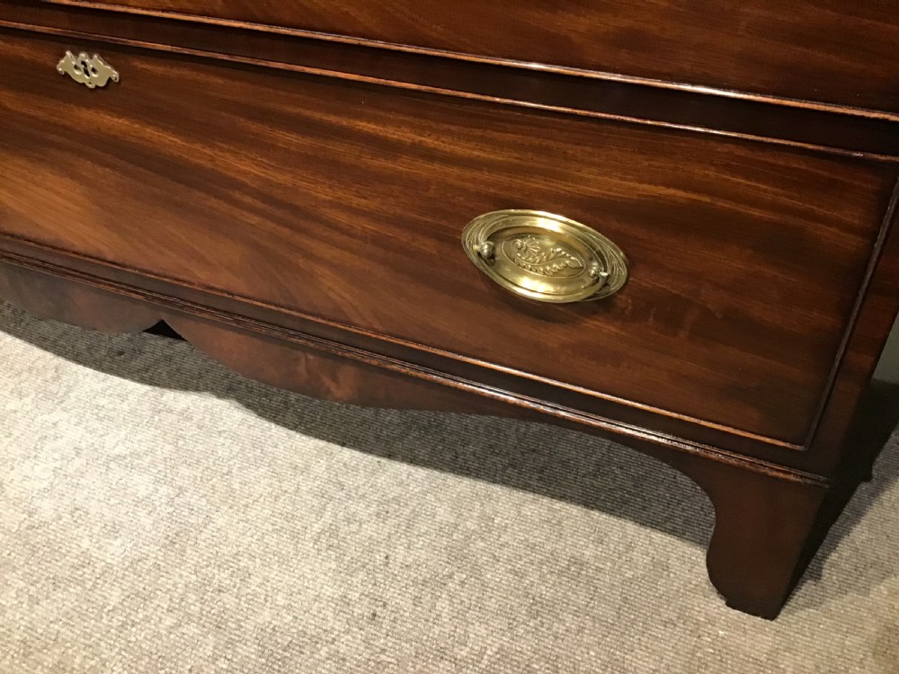 Antique mahogany hall chest View V