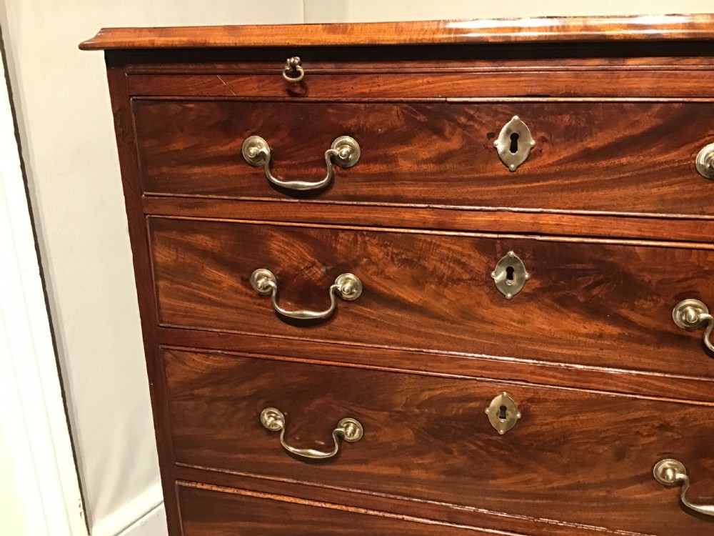 Georgian mahogany chest of drawers View VII