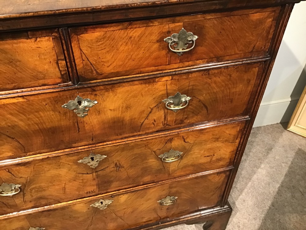 Antique walnut chest of drawers View VI
