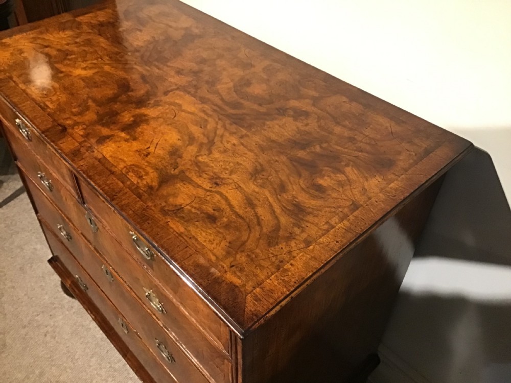 An antique burr walnut chest of drawers with two short over three long drawers, brass handles, and bun feet. View III