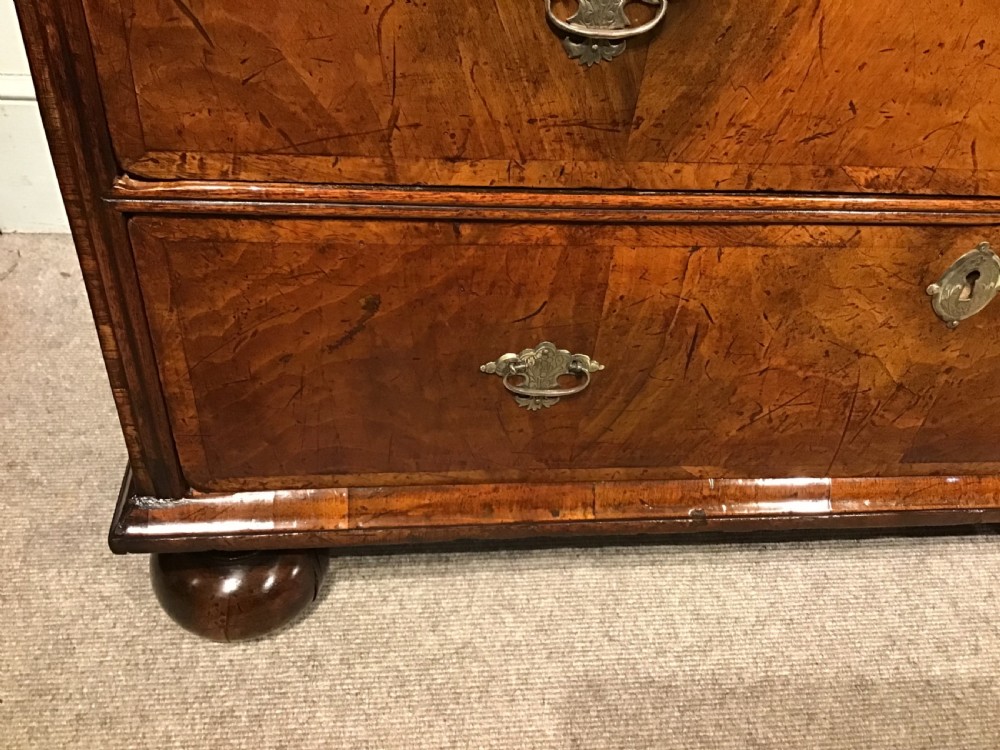 An antique burr walnut chest of drawers with two short over three long drawers, brass handles, and bun feet. View VI