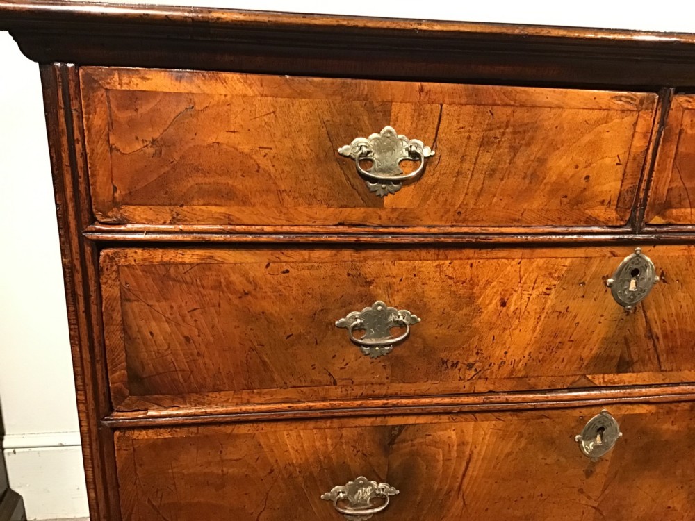 An antique burr walnut chest of drawers with two short over three long drawers, brass handles, and bun feet. View VII