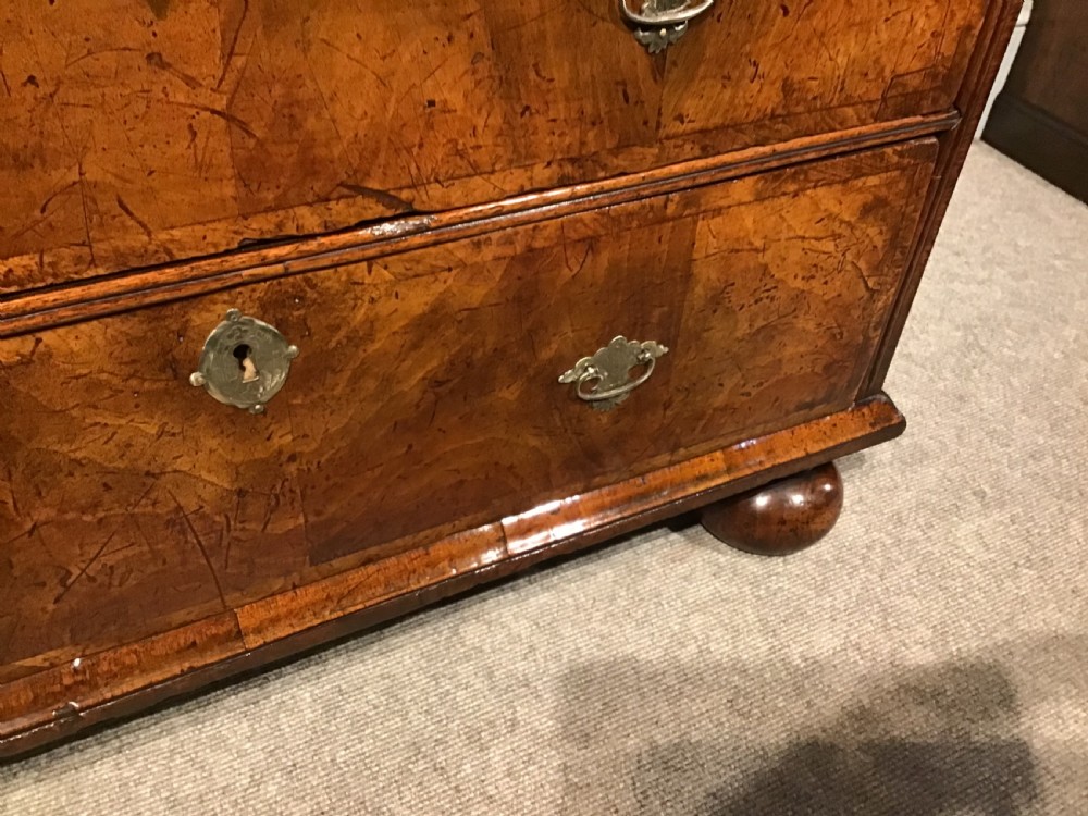 An antique burr walnut chest of drawers with two short over three long drawers, brass handles, and bun feet. View VIII