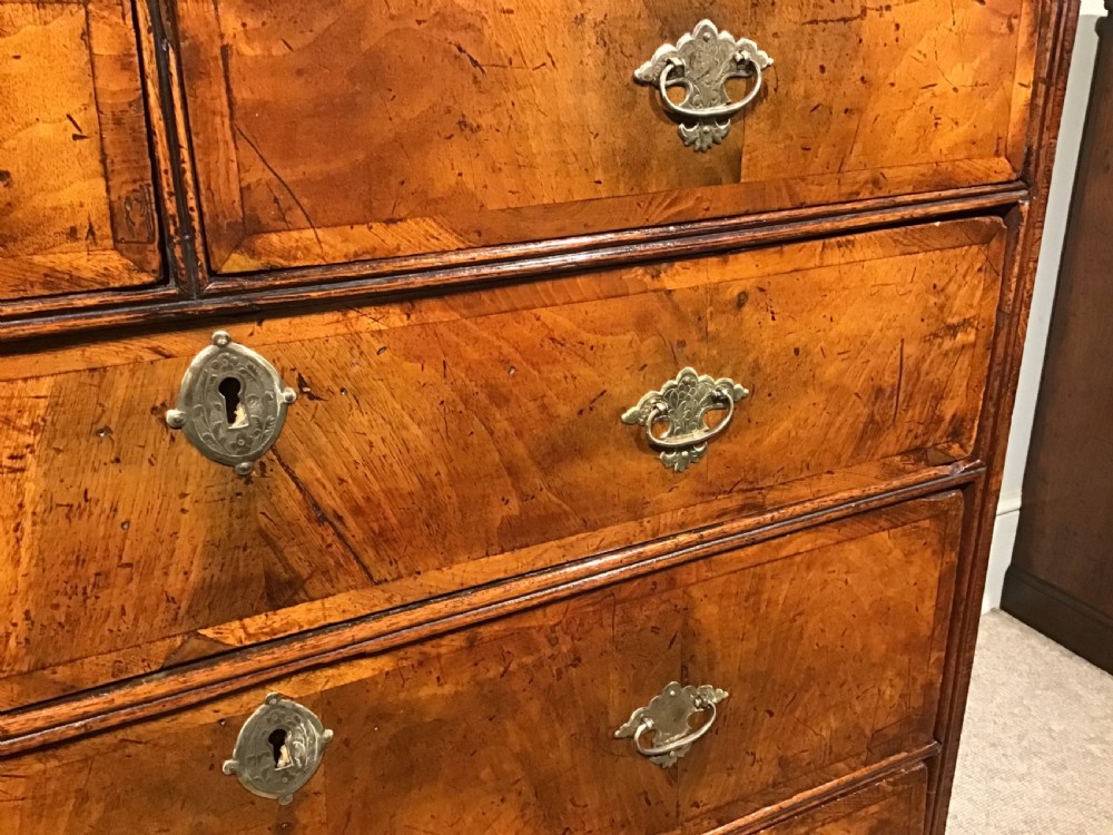 An antique burr walnut chest of drawers with two short over three long drawers, brass handles, and bun feet. View IX
