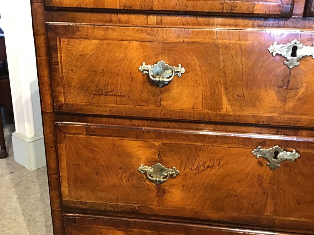 Antique walnut chest of drawers View VI