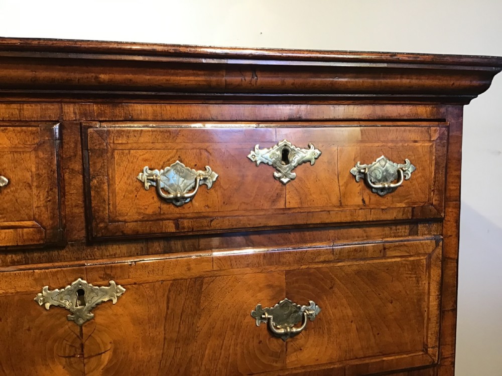 Antique walnut chest of drawers View VIII