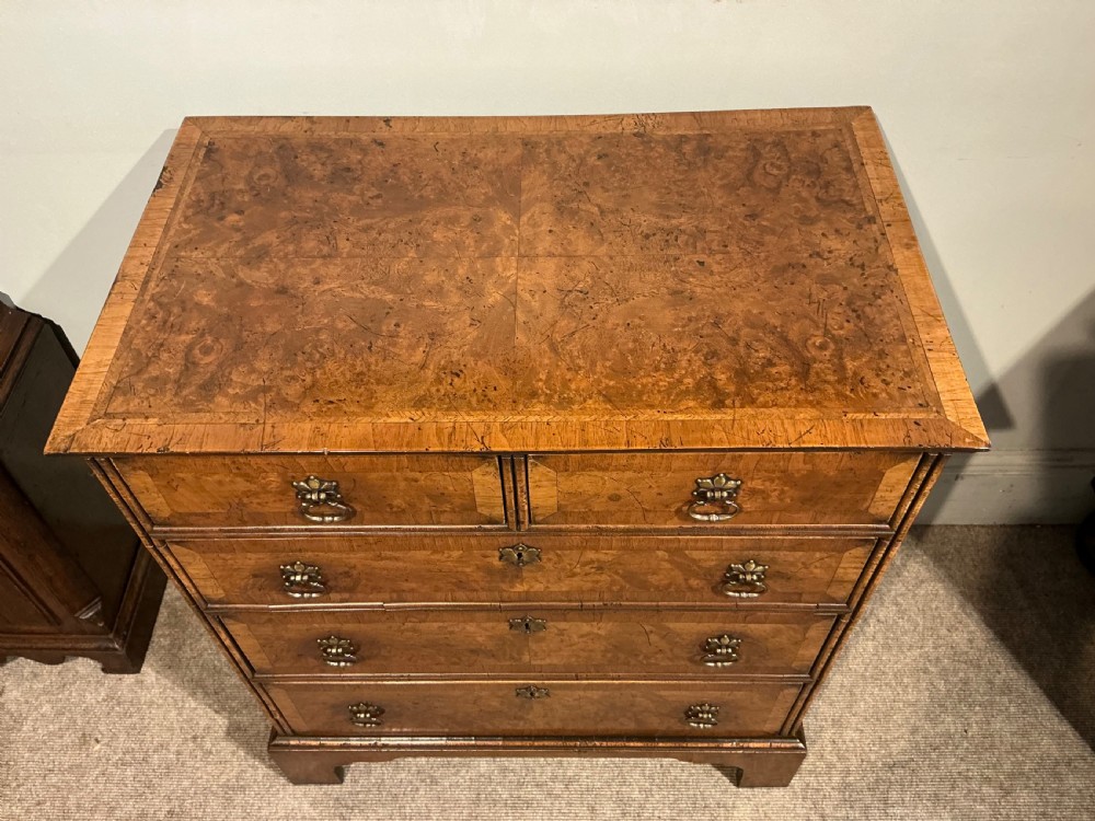 An antique burr walnut chest of drawers featuring two short over three long graduating drawers with brass handles and bracket feet. View IV