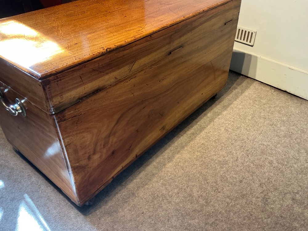 A rectangular antique camphorwood trunk with recessed metal handles and front latches. View VI