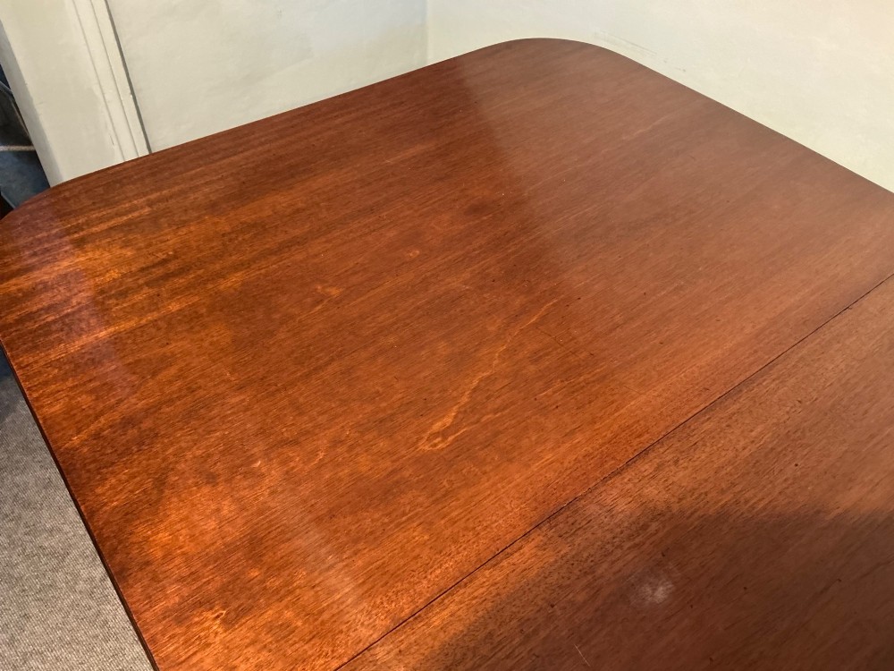 A mahogany twin pedestal dining table featuring rounded rectangular top corners, splayed tripod legs, and brass castors. View III