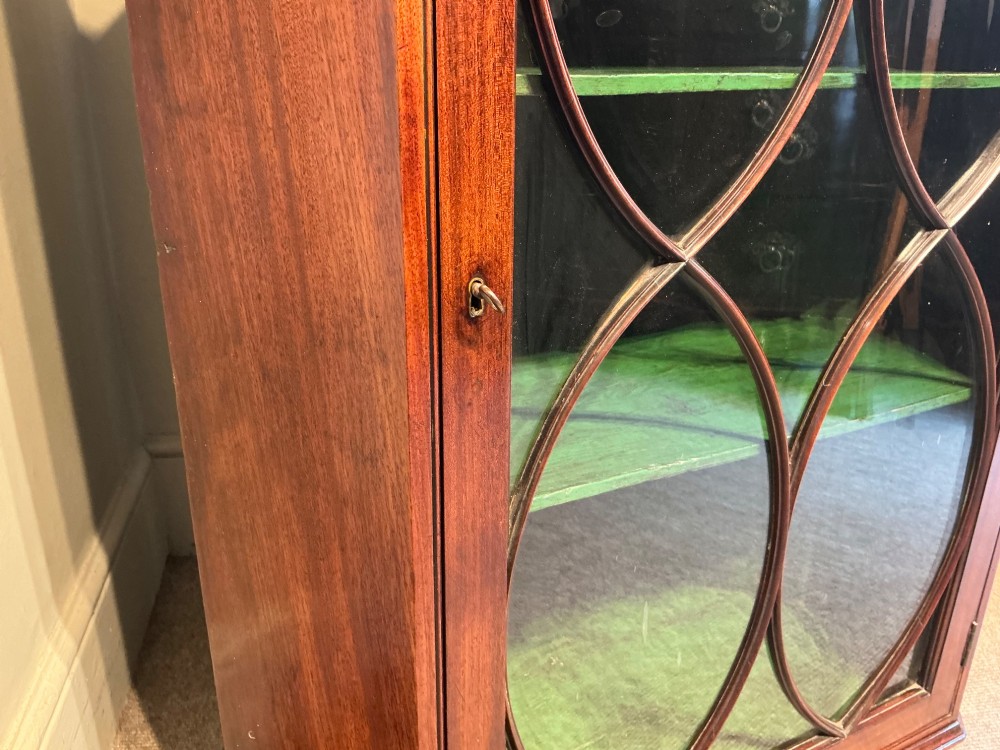 A Georgian mahogany wall-hanging corner cabinet featuring a moulded cornice and a single glass door with geometric oval astragal glazing bars. View VI