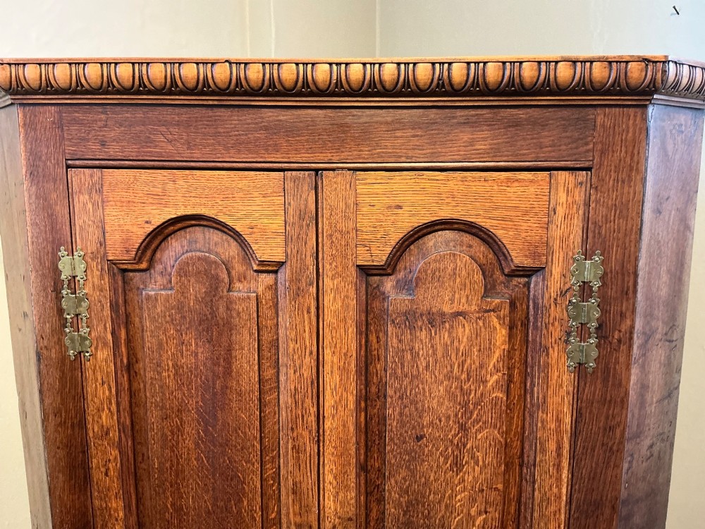 A floor-standing antique oak corner cabinet featuring two arched panelled doors, brass hardware, and carved moulding along the top edge. View II