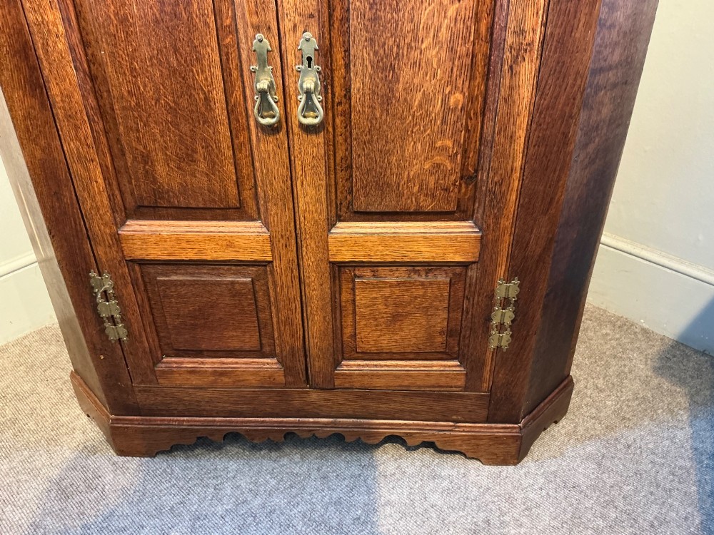 A floor-standing antique oak corner cabinet featuring two arched panelled doors, brass hardware, and carved moulding along the top edge. View III