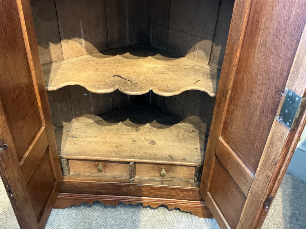 A floor-standing antique oak corner cabinet featuring two arched panelled doors, brass hardware, and carved moulding along the top edge. View IV