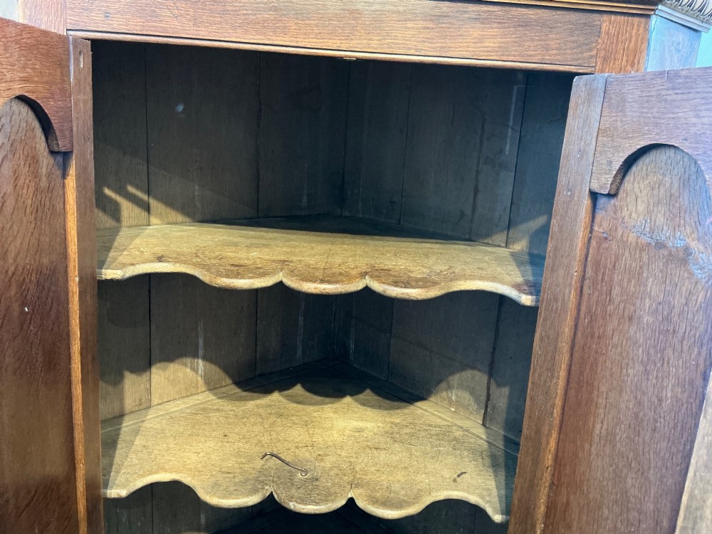 A floor-standing antique oak corner cabinet featuring two arched panelled doors, brass hardware, and carved moulding along the top edge. View V