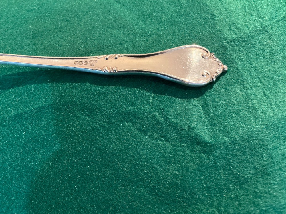 Silver ladle View V