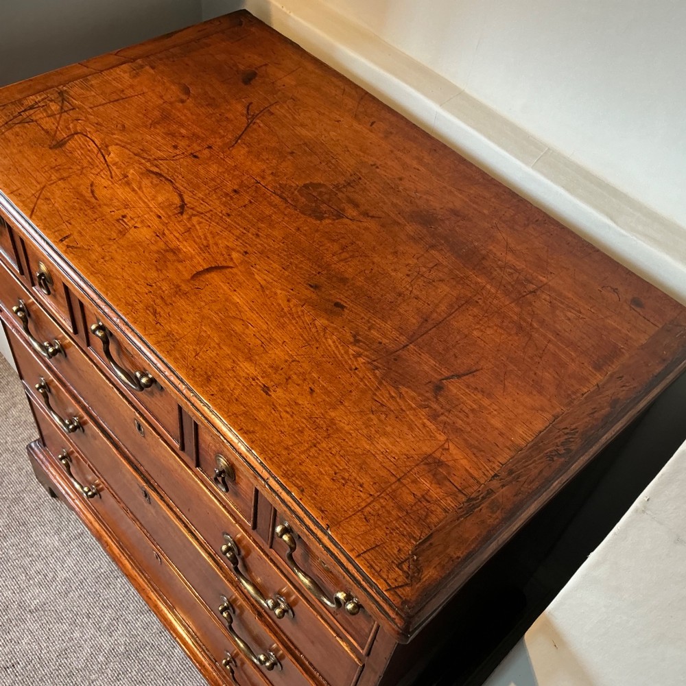 A Georgian cedar wood chest of drawers featuring multiple drawer compartments, brass swan-neck handles, and bracket feet. View III