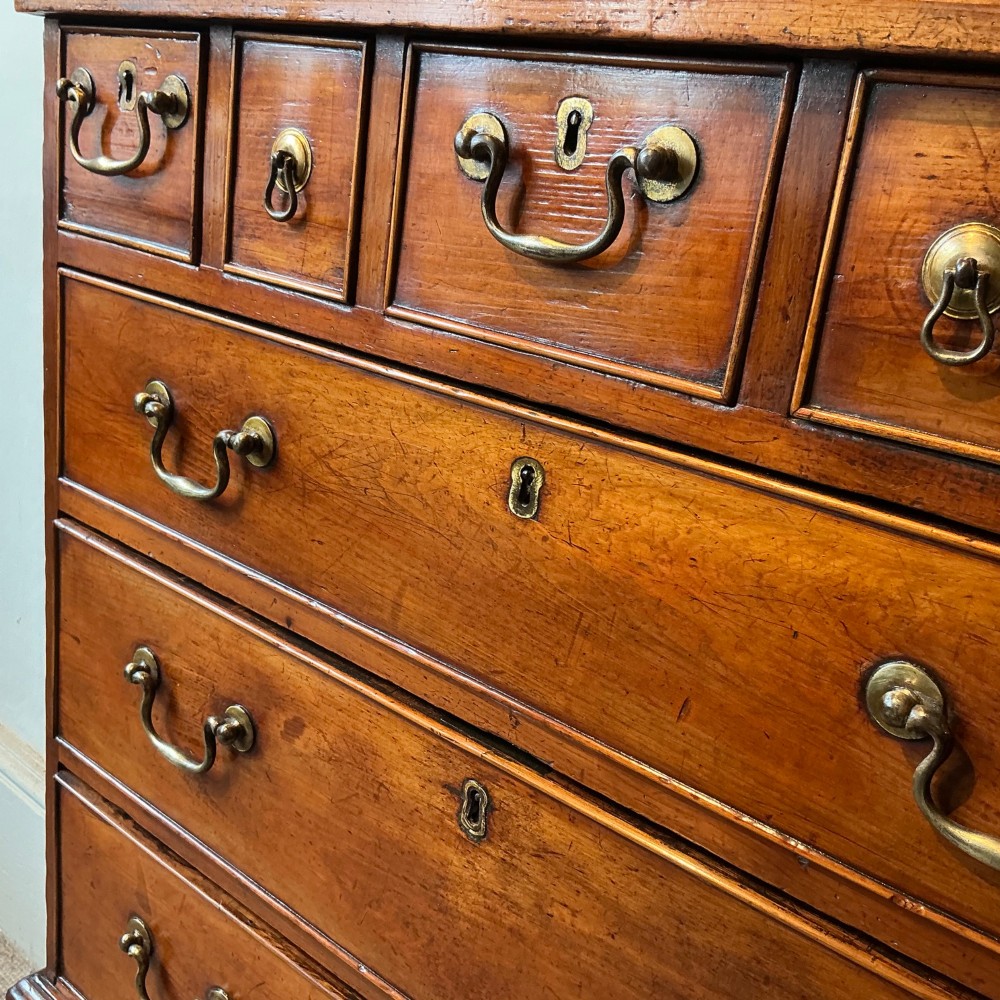 A Georgian cedar wood chest of drawers featuring multiple drawer compartments, brass swan-neck handles, and bracket feet. View IV