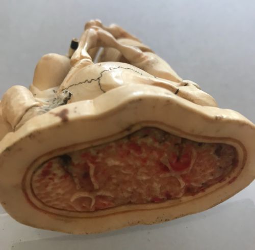 AN UNUSUAL JAPANESE IVORY OKIMONO - ADDITIONAL PHOTO 3