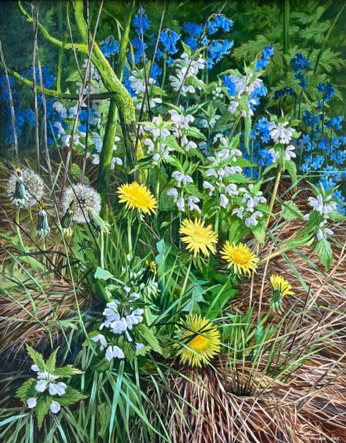 Peter Newcombe Spring Hedgerows