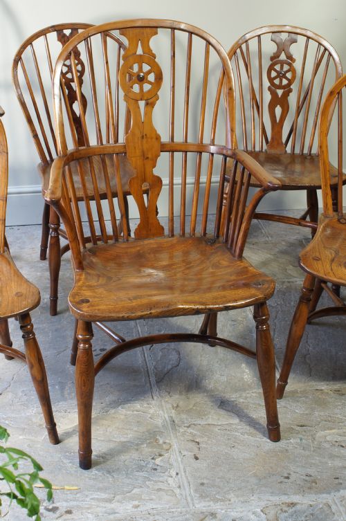 Set of 6  Yew Wood Windsor Chairs.