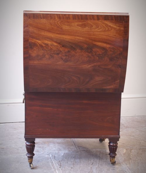 EARLY 19TH CENTURY REGENCY MAHOGANY WINE COOLER CELLARETTE - ADDITIONAL PHOTO 7