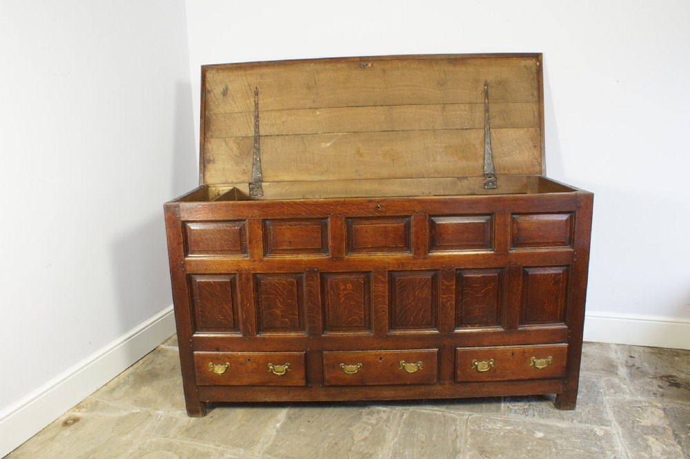 18th century Welsh mule chest. View V