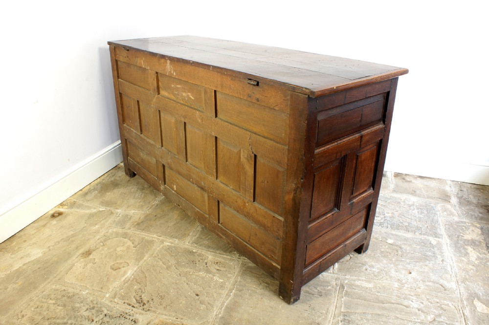 18th century Welsh mule chest. View VII