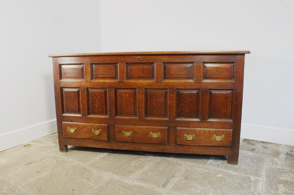 18th century Welsh mule chest. View VIII