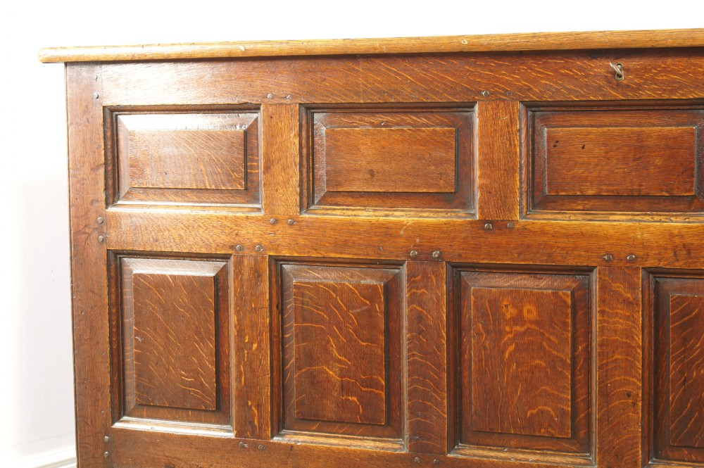 18th century Welsh mule chest. View IX