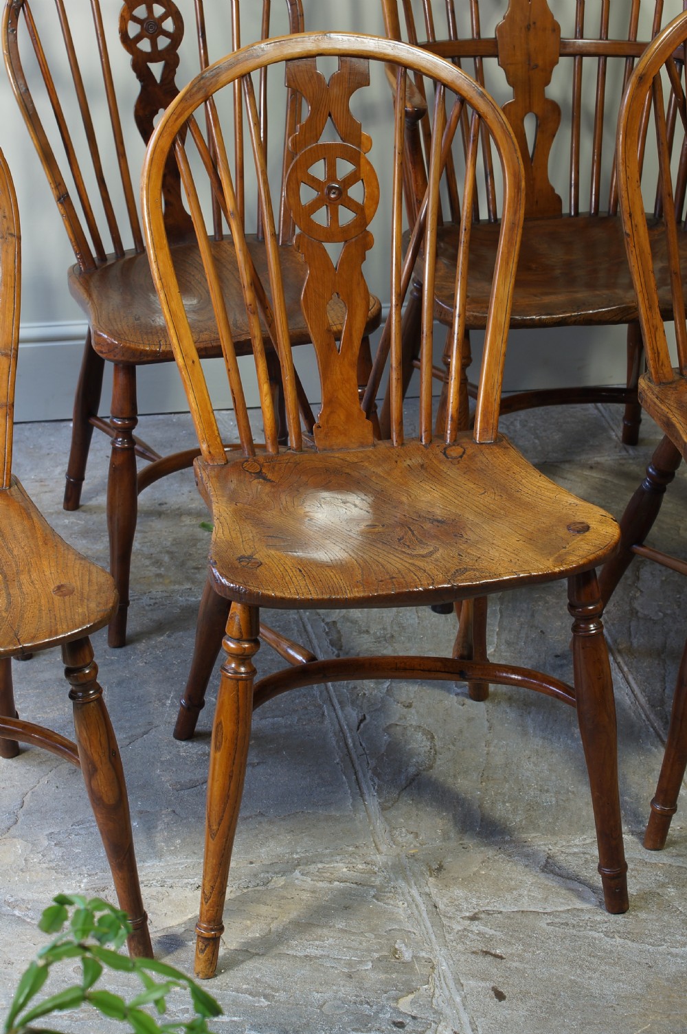 Set of 6  Yew Wood Windsor chairs. View II