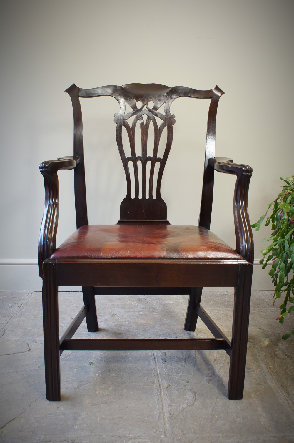 Scottish George III Laburnum Armchair of generous proportions.  View IV
