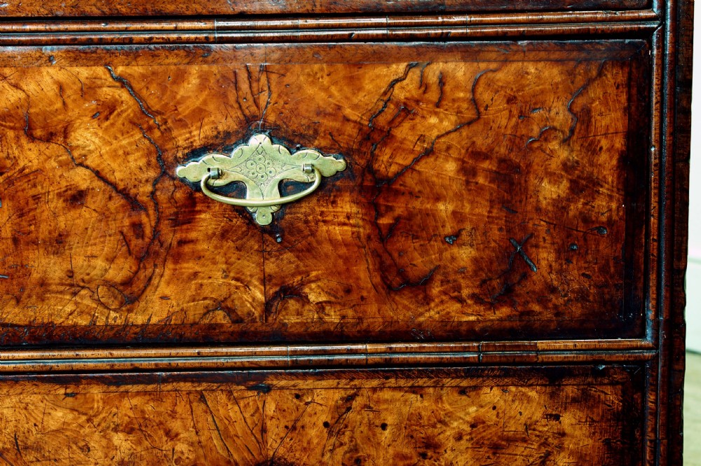 An early eighteenth-century burr walnut cabinet on chest featuring double upper doors with brass strap hinges above four graduated drawers, resting on turned bun feet. View X