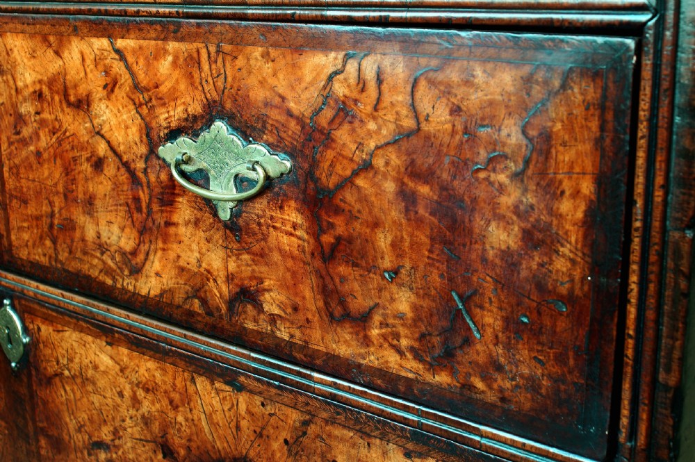 An early eighteenth-century burr walnut cabinet on chest featuring double upper doors with brass strap hinges above four graduated drawers, resting on turned bun feet. View XVII